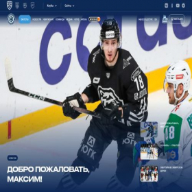Скриншот главной страницы сайта hcsibir.ru